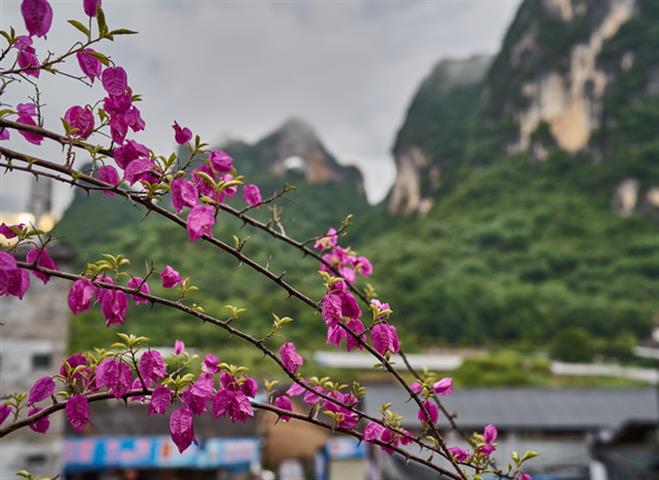 yangshuo-village-inn-rooftop-dining-yulong-river-yangshuo-restaurants.